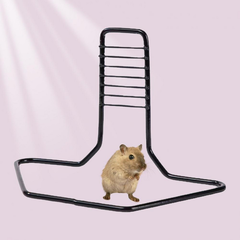 Praktiline jooksumänguasjade riiul Loominguline sporditreening Smooth Hamsteri tarvikud Jooksuratta tugiklamber