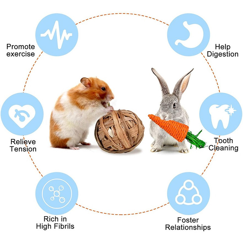 Maži naminių gyvūnėlių veiklos žaislai, triušių dantų kramtymo žaislai, graužikų kramtomieji kamuoliukai, jūrų kiaulytės, šinšilos, triušiai, pramogų priedai