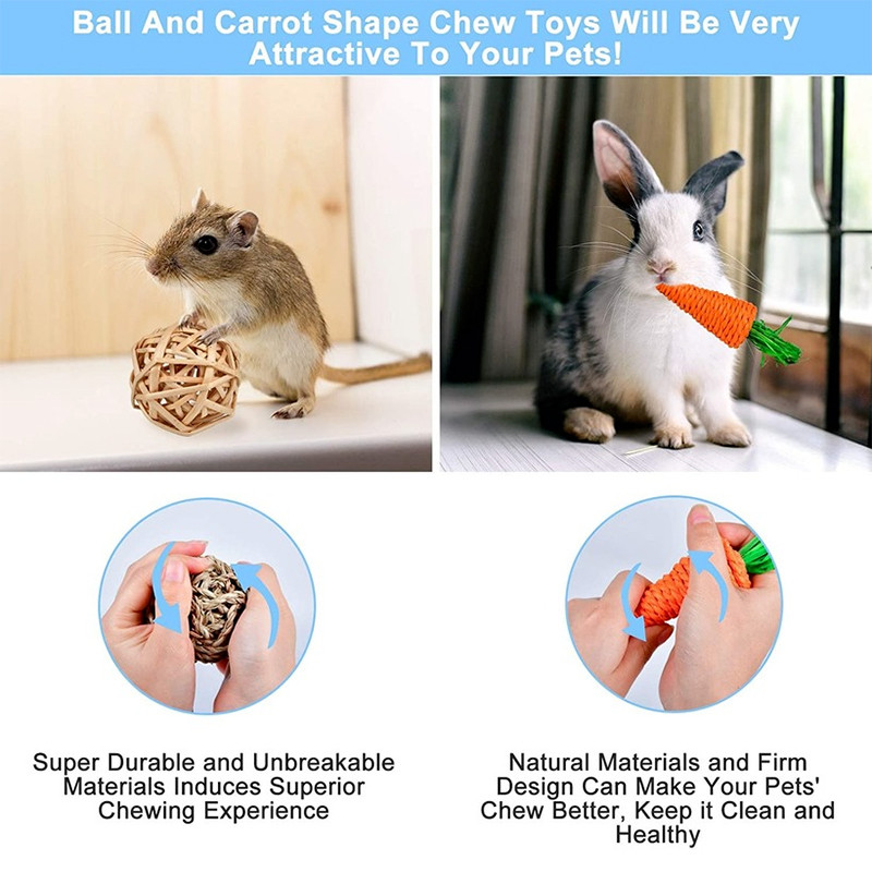 Maži naminių gyvūnėlių veiklos žaislai, triušių dantų kramtymo žaislai, graužikų kramtomieji kamuoliukai, jūrų kiaulytės, šinšilos, triušiai, pramogų priedai