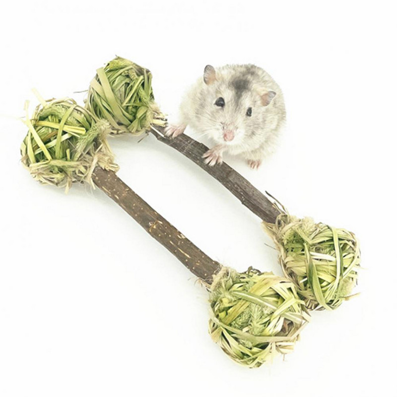 2 tk hea hammaste lihvimispulk mitmeotstarbeline stressi leevendav muru hamster küüliku puuoksa murupall puripurimänguasi