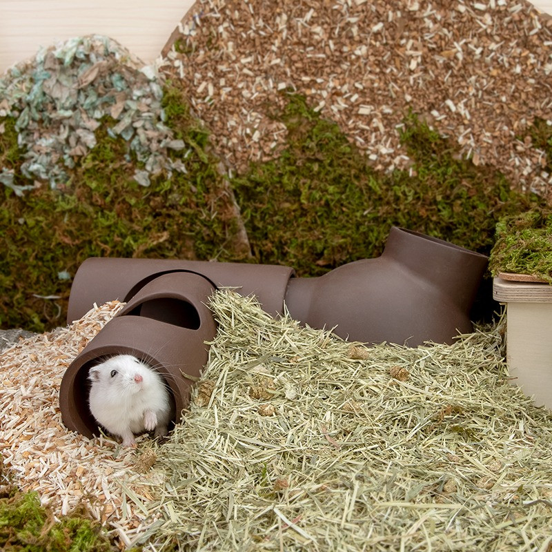 Hamstri lilla liivatunneli koobas suvine jahutustoru kuldne siidikaru keraamiline pesa meisterdage kombineeritud kanal Hamstri labürint