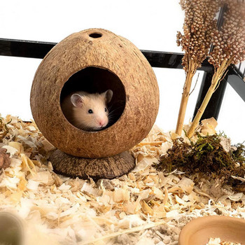 Κέλυφος καρύδας Φιλικό προς το περιβάλλον Χάμστερ Hideout Hut Pet Παιχνίδι μασήματος Παιχνίδι Παιχνίδι ποντικού Hideout House Stable Structure Προμήθειες για κατοικίδια