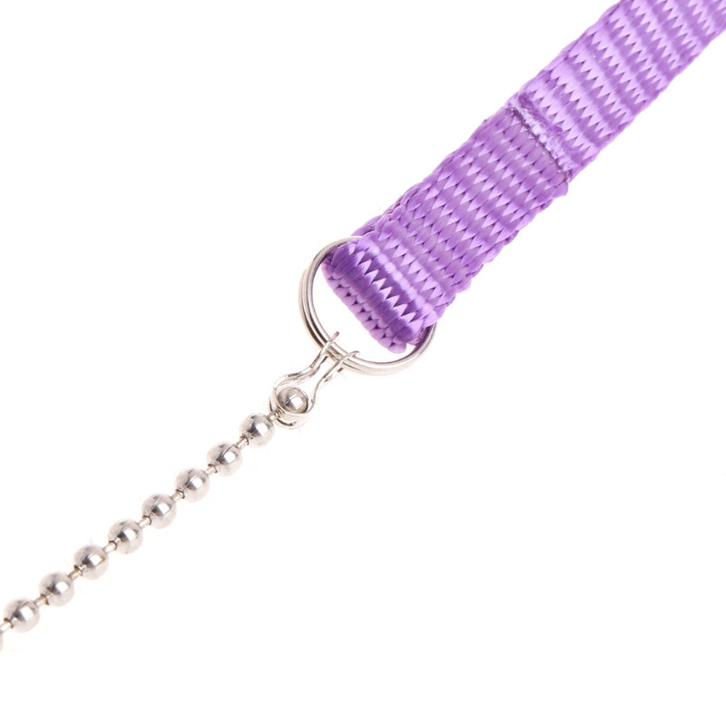 Papagailis putnu siksna āra regulējama iejūga treniņu virve pret kodumu lidojoša lente mīksta, ērta papagaiļa pavada, nolaižama kuģis