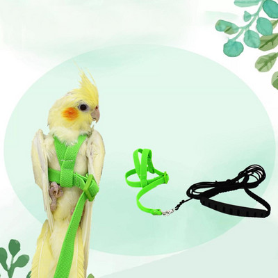 Pet Bird Harness Adjustable Parrot Leash Harness Training Rope Flying Band Bird Rope Outdoor Training Rope Belt Walking Lead