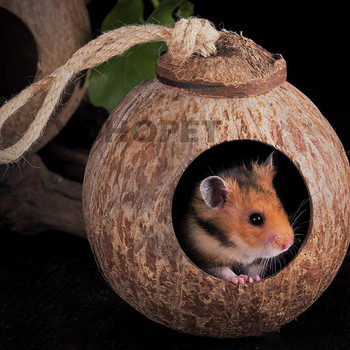Φυσικό μικρό κατοικίδιο κλουβιά καρύδας Κλουβί κατοικίδιων για χάμστερ ποντίκια ινδικό χοιρίδιο σκίουρος Ξύλινο σπίτι για τρωκτικό αρουραίων Μικρή φωλιά ζώων