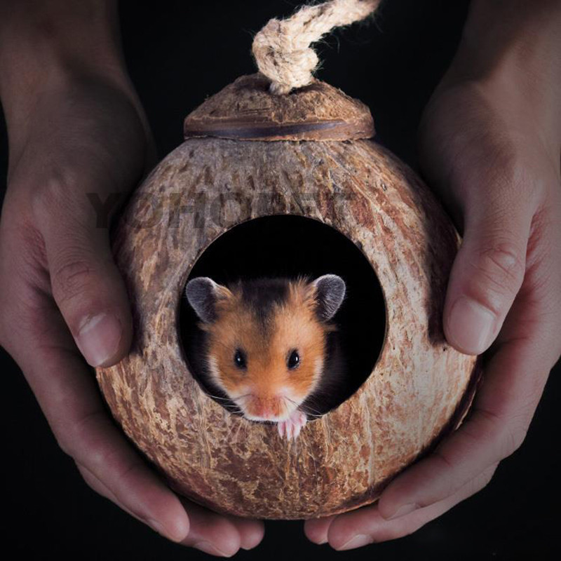 Prirodni mali kućni ljubimci Kokosovi kavezi Kavez za kućne ljubimce za hrčka Zamorac Miševi Vjeverica Drvena kućica za štakora Glodavac Gnijezdo za male životinje