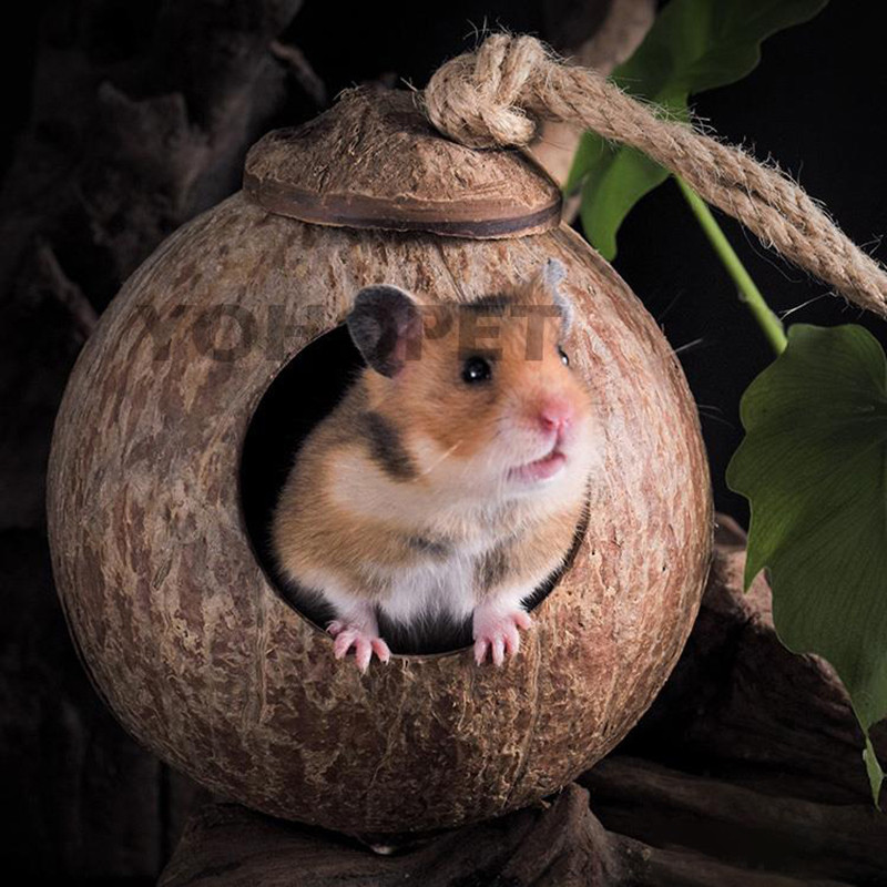 Prirodni mali kućni ljubimci Kokosovi kavezi Kavez za kućne ljubimce za hrčka Zamorac Miševi Vjeverica Drvena kućica za štakora Glodavac Gnijezdo za male životinje