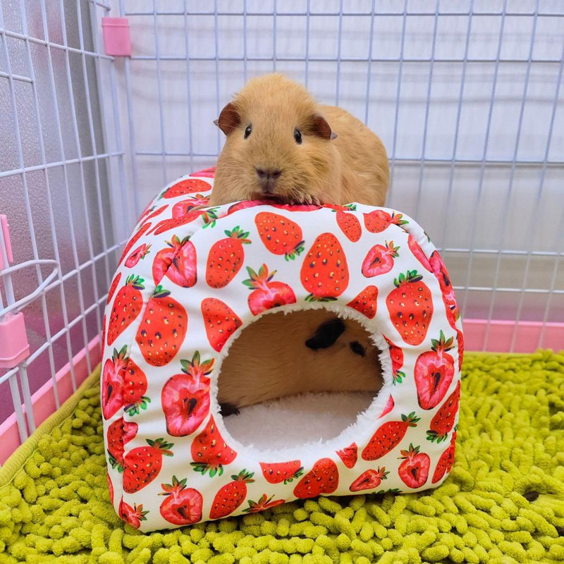 Cuib din bumbac de hamster drăguț, casă de veveriță moale semi-închisă, îngroșată, oferă sentiment de securitate, model de avocado, pat de hamster pentru toamnă