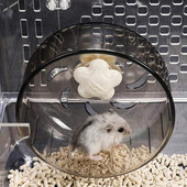 Roți de alergare pentru hamsteri Roată de hamster transparente pentru alergare Jogging Banda de alergare Silențioasă Articole pentru animale mici Jucării