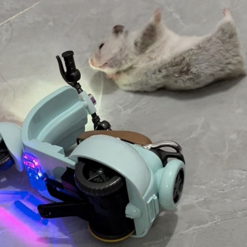 Väikese lemmiklooma interaktiivne mänguasi Hamstri mänguasi Suurepärane valgus- ja heliefektid Lemmiklooma jõul töötav treeningauto intelligentne