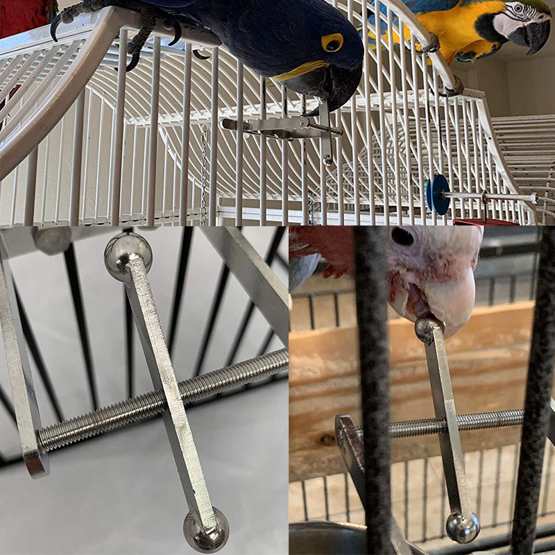 2021 Jucărie cu papagal Leagăn din oțel inoxidabil Suport de joacă pentru pasăre Jucării de mestecat pentru mușcături Accesorii pentru animale de companie Decor pentru cuști Accesorii pentru păsări
