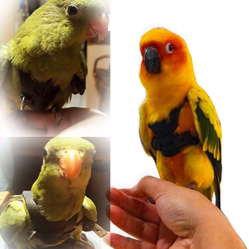 Putnu zirglietas Putnu zirglietas Papagaiļu zirglietas un papagaiļu zirglietas Ādas putnu virve Regulējama apmācības dizains pret sakodienu