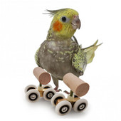 Mini patine cu rotile Parrot Jucărie cu două rânduri Materiale de instruire pentru inteligența animalelor de companie
