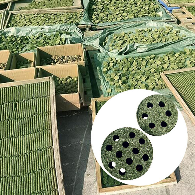 Timothy Grass Chew Molar Toys Natural Alfalfa Hay Grass Cakes for Hamster Guinea Pigs Σκίουρος Κουνέλια Τσιντσιλά Μικρά ζώα