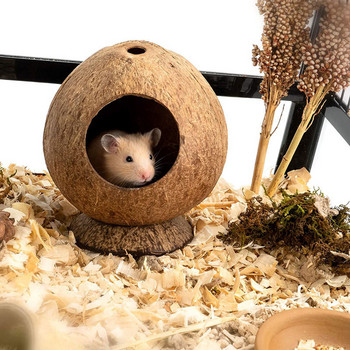Coconut Hut Hamster House Κρεβάτι: Gerbil Critter Cage Habitat Decor