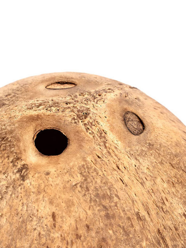 Pat pentru casa de hamsteri de nuca de cocos: Decor pentru habitatul custii de gerbil