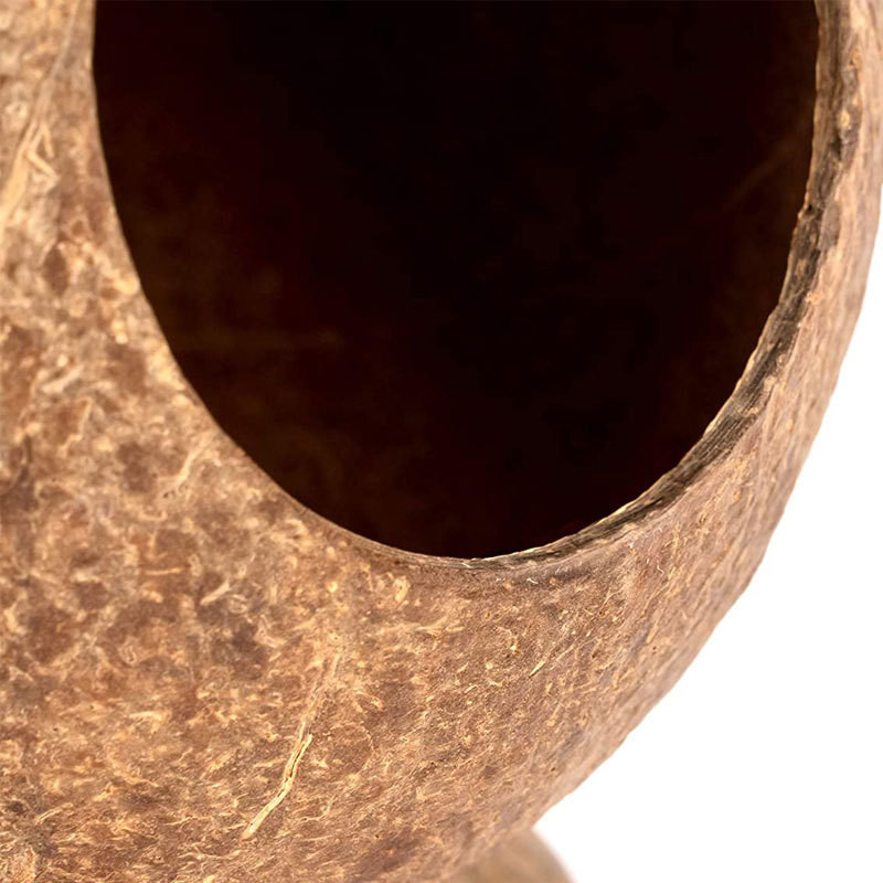 Pat pentru casa de hamsteri de nuca de cocos: Decor pentru habitatul custii de gerbil