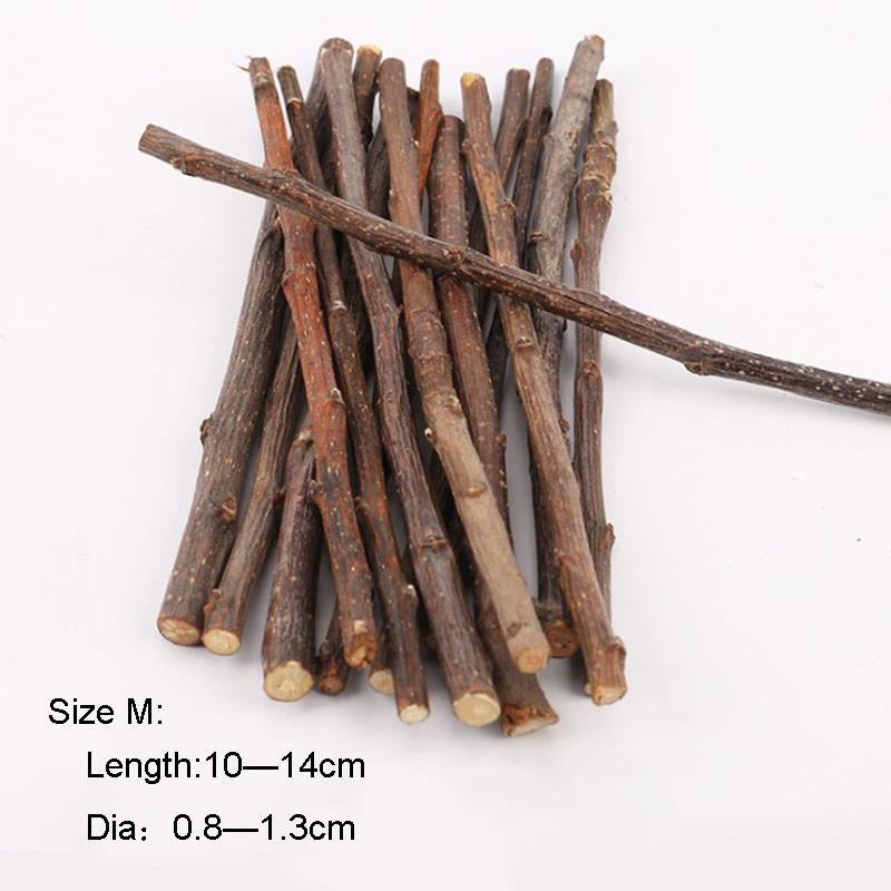 Profesionāla kāmja truša zobu slīpēšana Ābolu koku nūju minerāli Molāra akmens rotaļlietas šinšillu kāmju rotaļlietu piederumiem