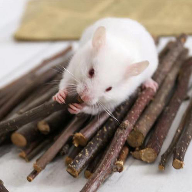 Profesionāla kāmja truša zobu slīpēšana Ābolu koku nūju minerāli Molāra akmens rotaļlietas šinšillu kāmju rotaļlietu piederumiem