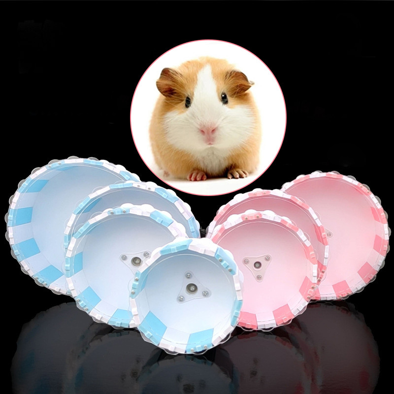 Pet Sport Wheel Hamster Disc Sport Mute Διάδρομος Hamster Running Wheel Guinea Pig Totoro Αστείο παιχνίδι Προμήθειες για κατοικίδια χωρίς βάση