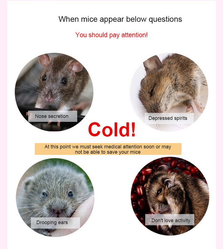 Noua minge de bumbac pentru hamster pentru animale de companie, colorată iarnă caldă, aprovizionare pentru cuști, filtru de umplutură, umplutură cu minge de hârtie pentru urs, provizii pentru animale mici