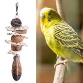 Măcinarea ghearelor gura ameliorează plictiseala agățat papagal pentru animale de companie de mestecat jucărie pentru animale de companie