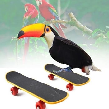 1 τεμ Bird Parrot Intelligence Toys Mini Training Skateboard For Budgies Parakeet Growth Toy Pet Toy