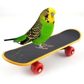1 τεμ Bird Parrot Intelligence Toys Mini Training Skateboard For Budgies Parakeet Growth Toy Pet Toy