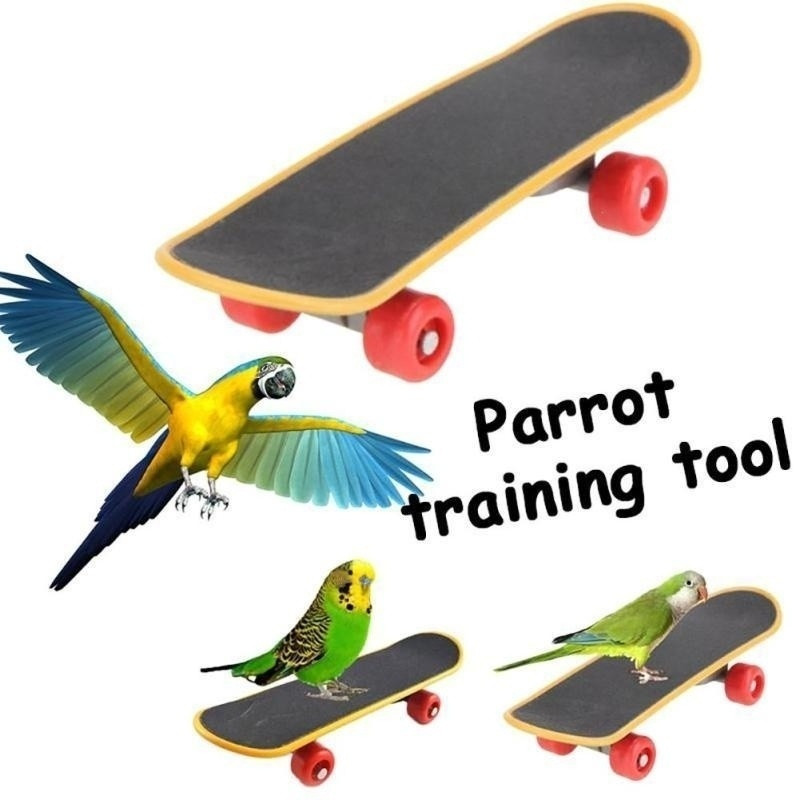 1 tk Bird Parrot Intelligence mänguasjad Mini treeniv rula viirpapagoide kasvulelu lemmiklooma mänguasi