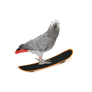 Παιχνίδι παπαγάλος skateboard παιχνίδι εκπαίδευσης πουλιών προσομοίωσης κράματος ποδηλάτου μοντέλο σετ skateboard ποδήλατο + σανίδα ζωτικότητας + σκούτερ