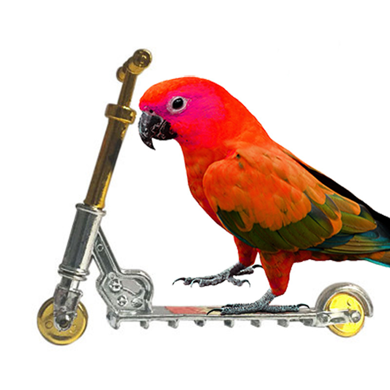 Papagoi mänguasi rula lindude treeningmäng simulatsioon sulamist jalgratta mudel rulakomplekt jalgratas + elujõulaud + tõukeratas
