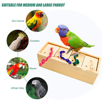 3 τεμάχια/Σετ παπαγάλων εκπαίδευσης παπαγάλων παπαγάλος τροφής Ξύλινο κουτί τροφοδοσίας Βάση εκπαίδευσης Skateboard για διαδραστικά παιχνίδια Parrot Canary