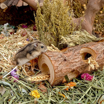 Естествен дървен хамстер Мишка тунел тръба играчка Кух ствол на гората