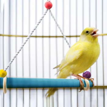 Παιχνίδια πουλιών Βάση για παπαγάλο αξεσουάρ Conure Love Swing Πέρκα Διακόσμηση κλουβιού Μικρές μεσαίες προμήθειες για παπαγάλους
