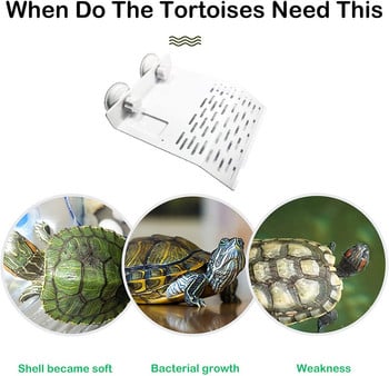 Πλατφόρμα χελώνας Ενυδρείο Αντίστασης σε υψηλή θερμοκρασία Ακρυλική σανίδα ισχυρής αναρρόφησης Χελώνα Play Rest Πλωτή Βεράντα