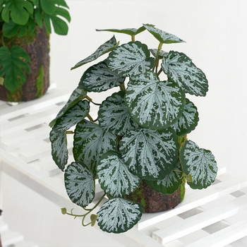 Φυτά Terrarium Τεχνητά για Διακοσμήσεις Οικοτόπων με Τροπικά Φύλλα Ερπετών