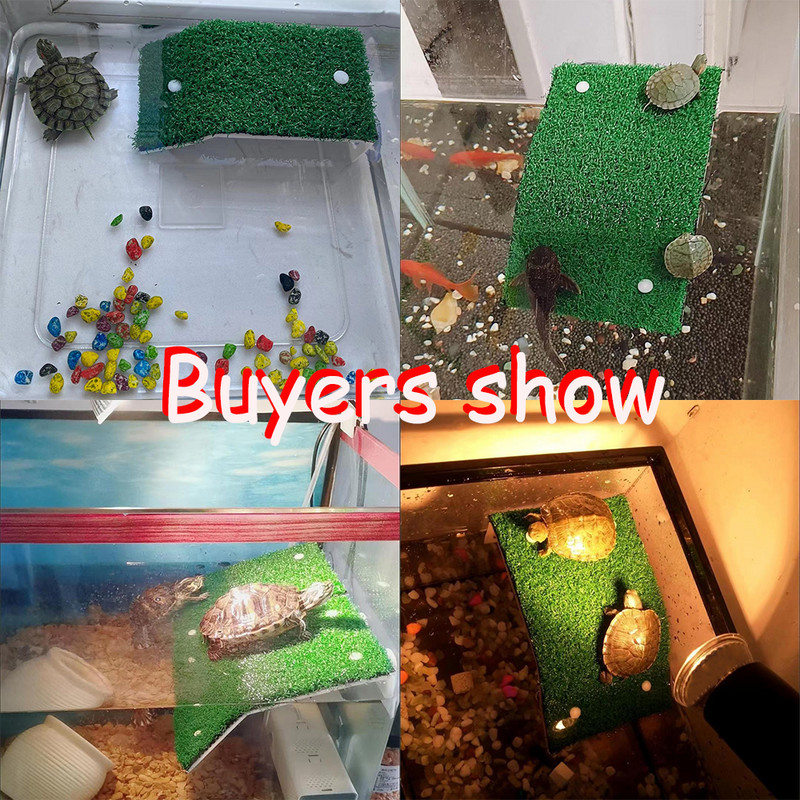 Vėžlių baseino platforma Vėžlių buveinės modeliavimas vejos rampa Vėžlių prieplaukoje plaukiojanti sala roplių terariumui akvariumo priedas