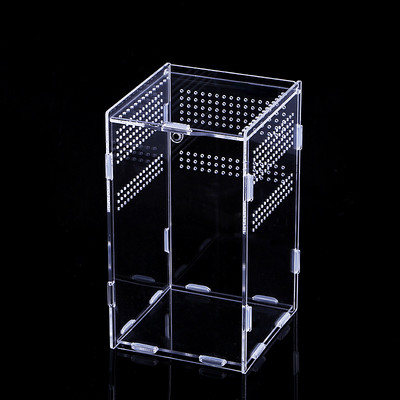 Magnetiline akrüülümbris, nanopuust tarantulaaedik roomajate elupaiga terraariumi aretuskast Spider Scorpion Sling isopoodide jaoks