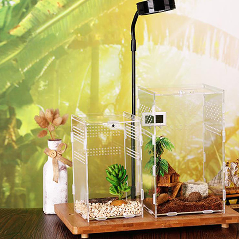 Magnetiline akrüülümbris, nanopuust tarantulaaedik roomajate elupaiga terraariumi aretuskast Spider Scorpion Sling isopoodide jaoks