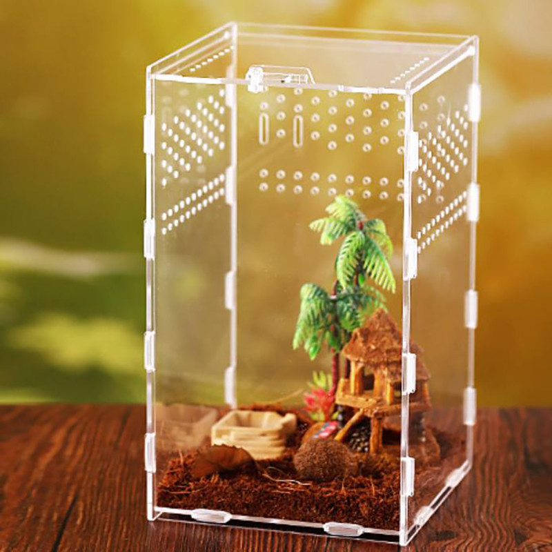 Magnetiline akrüülümbris, nanopuust tarantulaaedik roomajate elupaiga terraariumi aretuskast Spider Scorpion Sling isopoodide jaoks