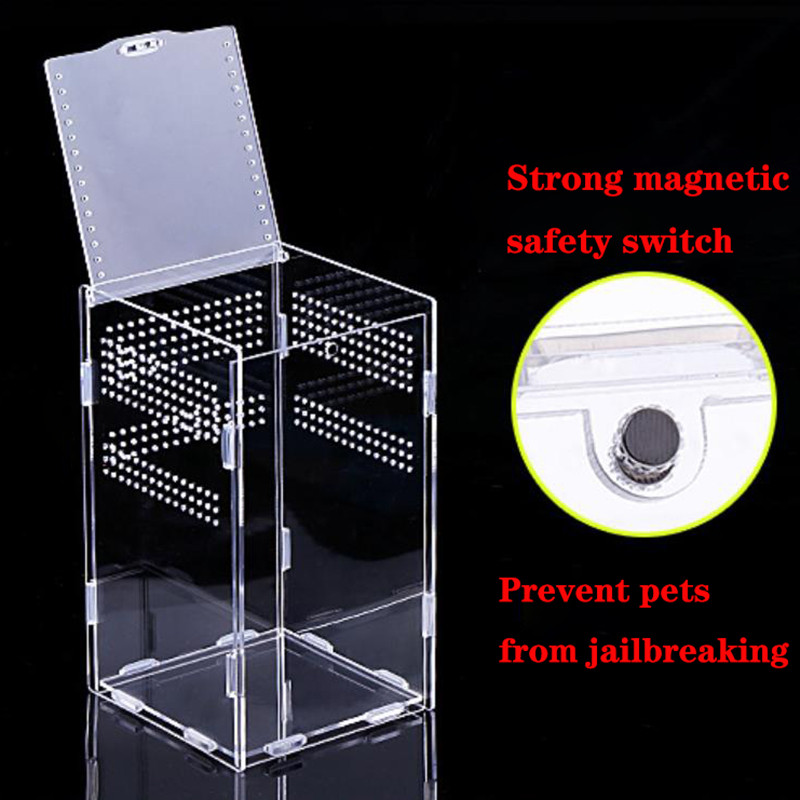 Magnetiline akrüülümbris, nanopuust tarantulaaedik roomajate elupaiga terraariumi aretuskast Spider Scorpion Sling isopoodide jaoks