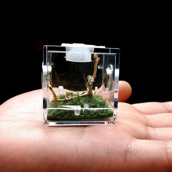 Кутия за размножаване на паяци Прозрачни кутии за хранене на насекоми Акрилна кутия за размножаване на влечуги Контейнер с метален вентилационен отвор