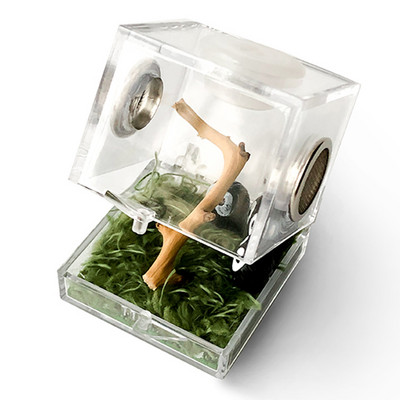 Spider Breeding Box Transparent Insect Feeding Boxes Acrylic Reptile Box Breeding Container With Metal Ventilation Hole