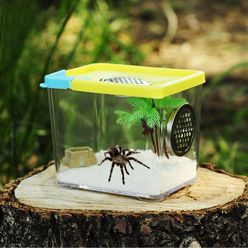 Roomajate kasvatuskast läbipaistev akrüülist roomajate söödakast putukakast mantise kasvatuskast putukate roomajate puur terraarium terraarium