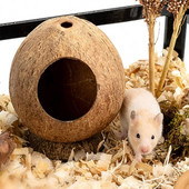 Safe Hamster Hideout Hut Pet Chew Παιχνίδι Ημίκλειστο Φωλιά ινδικού χοιριδίου Small Pet Coconut Cages Παιχνίδι για Golden Bear Rat