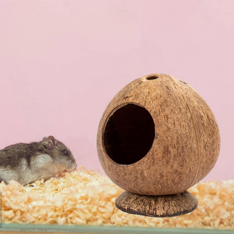 Safe Hamster Hideout Hut Pet Chew Παιχνίδι Ημίκλειστο Φωλιά ινδικού χοιριδίου Small Pet Coconut Cages Παιχνίδι για Golden Bear Rat