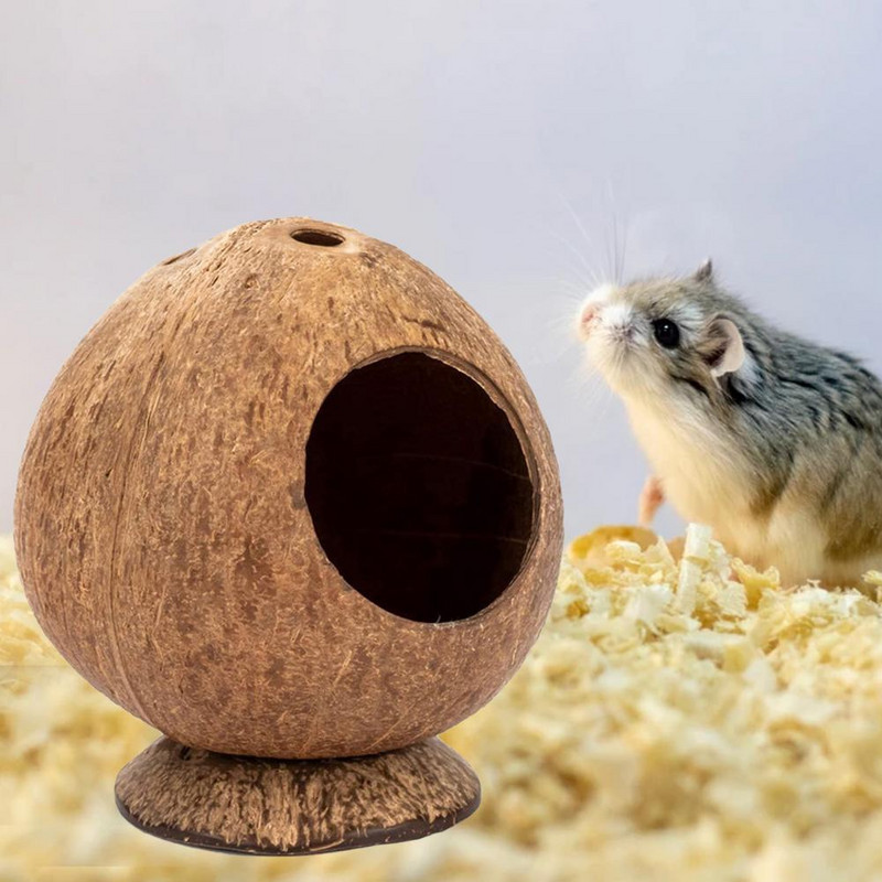 Safe Hamster Hideout Hut Pet Chew Παιχνίδι Ημίκλειστο Φωλιά ινδικού χοιριδίου Small Pet Coconut Cages Παιχνίδι για Golden Bear Rat