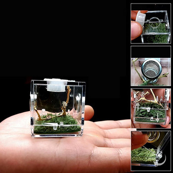 Πλαστικό μικρό κουτί αναπαραγωγής εντόμων Διαφανές κλουβί τροφοδοσίας αράχνης Jumping για Spider Grasshopper Cricket Scorpion Mantis Beetle