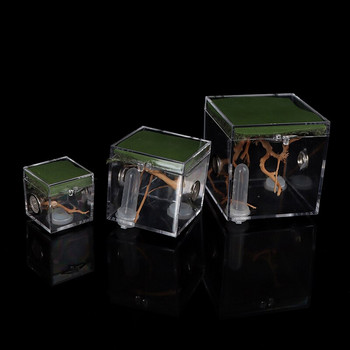 Пластмасова кутия за размножаване на малки насекоми, прозрачна клетка за хранене на скачащи паяци за паяк, скакалец, щурец, скорпион, богомолка, бръмбар