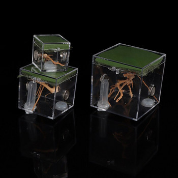 Пластмасова кутия за размножаване на малки насекоми, прозрачна клетка за хранене на скачащи паяци за паяк, скакалец, щурец, скорпион, богомолка, бръмбар